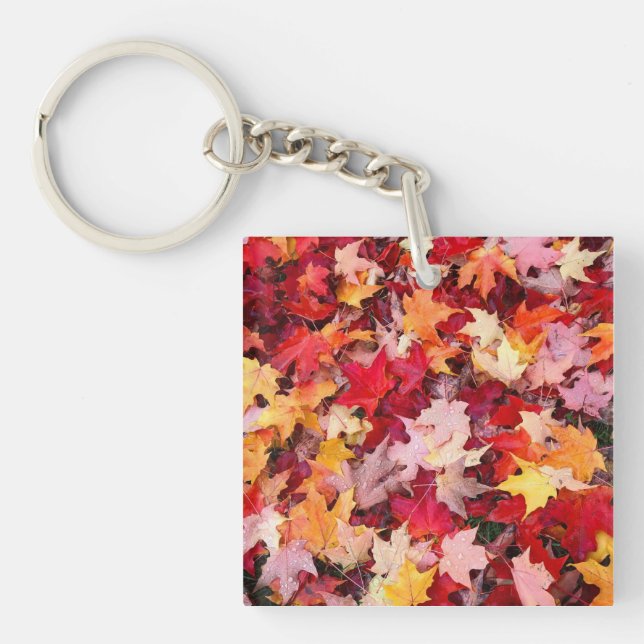 Colourful Autumn Leaves Key Ring (Front)