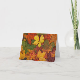 Colourful Autumn Leaves Note Card