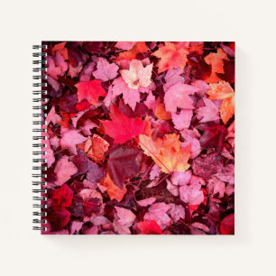 Colourful Autumn Leaves Notebook