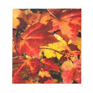Colourful Autumn Leaves Notepad