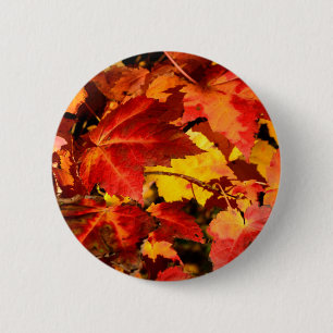 Colourful Autumn leaves orange red yellow colours 6 Cm Round Badge