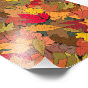 Colourful autumn leaves photo print