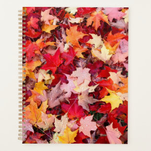Colourful Autumn Leaves Planner