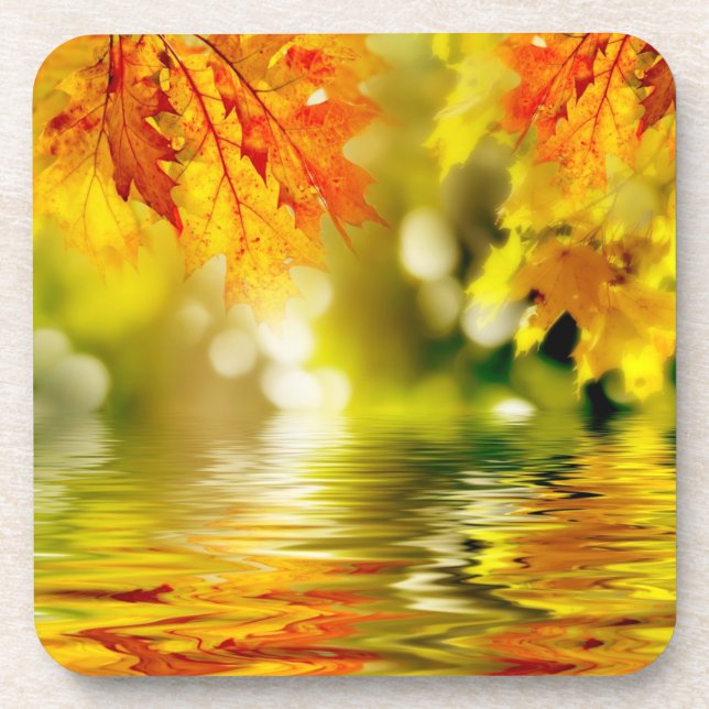 Colourful autumn leaves reflecting in the water 2 coaster (Front)