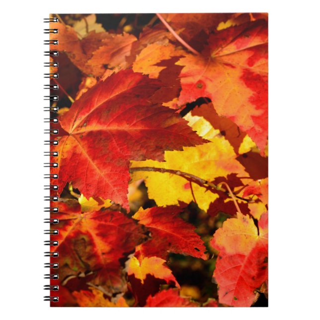 Colourful Autumn Leaves Spiral Notebook (Front)