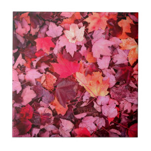 Colourful Autumn Leaves Tile