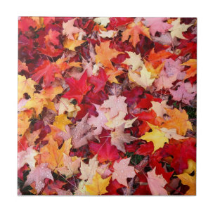 Colourful Autumn Leaves Tile