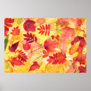 Colourful autumn leaves. Tree fallen leaf pattern. Poster