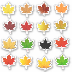 Colourful Autumn Maple Leaf Waterproof Labels