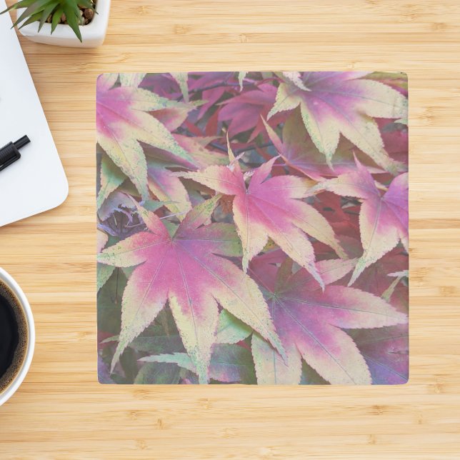 Colourful Autumn Maple Leaves Stone Coaster (In Situ)