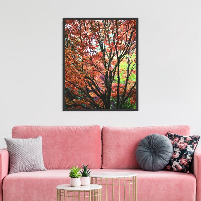 Colourful Autumn Maple Tree Canvas Print (Insitu(LivingRoom))