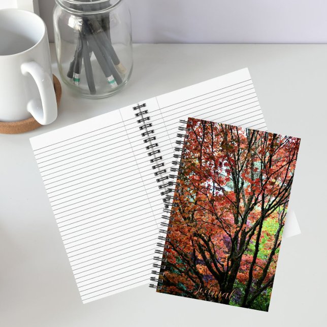 Colourful Autumn Maple Tree Notebook (In Situ)