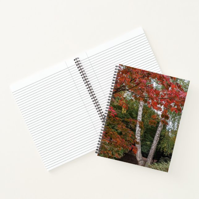 Colourful Autumn Season Leaves  Notebook (Inside)