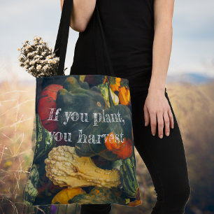 Colourful autumn squash and pumpkins Tote Bag