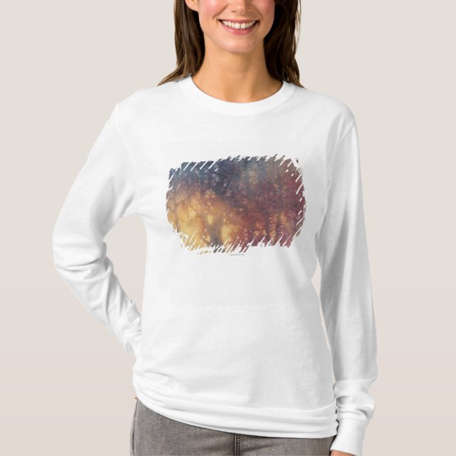 Colourful Autumn T-Shirt (Front)