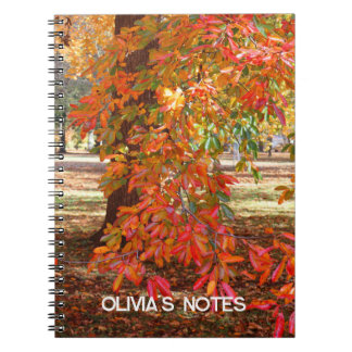 Colourful Autumn Tree Personalised Notebook