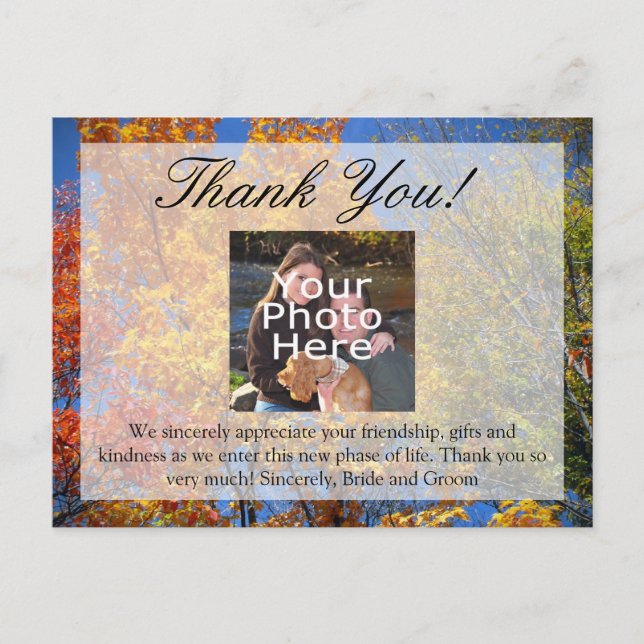 Colourful Autumn Trees Fall Wedding/Thank You Postcard (Front)