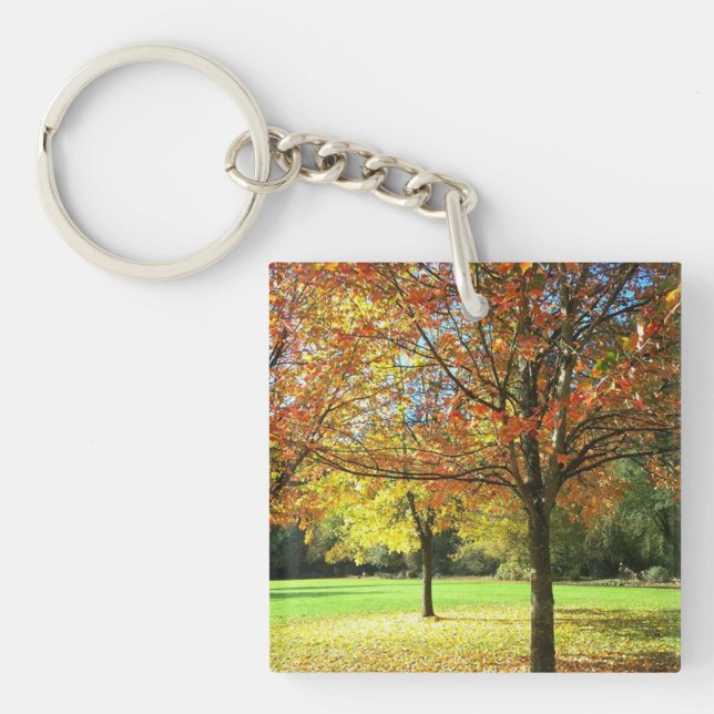 Colourful Autumn Trees Key Ring (Front)