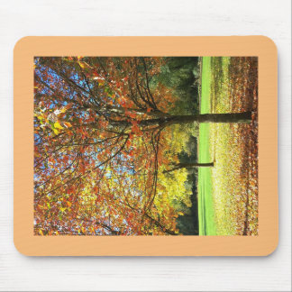 Colourful Autumn Trees Mouse Pad