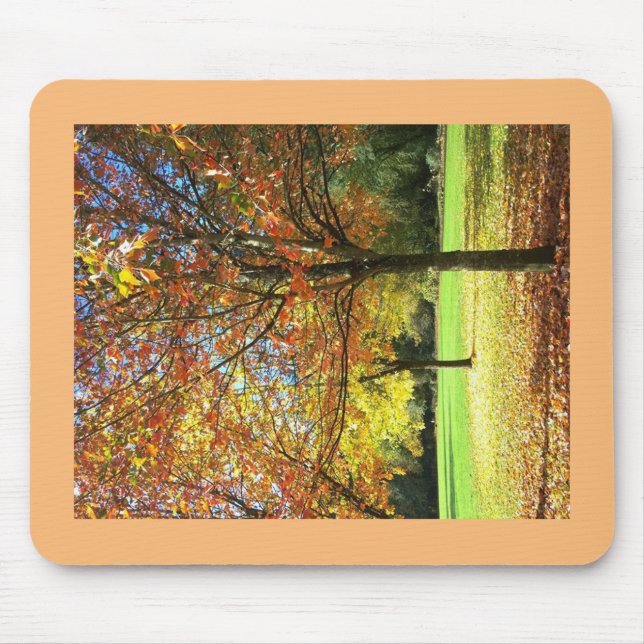 Colourful Autumn Trees Mouse Pad (Front)