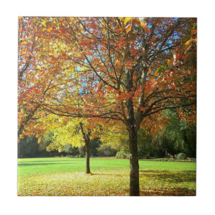 Colourful Autumn Trees Tile