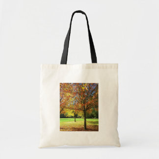 Colourful Autumn Trees Tote Bag