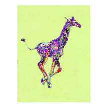colourful baby giraffe