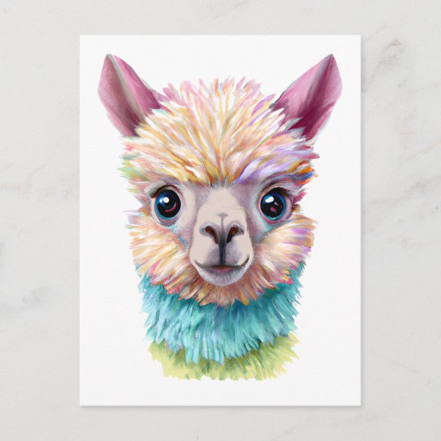 Colourful Baby Lama Postcard (Front)