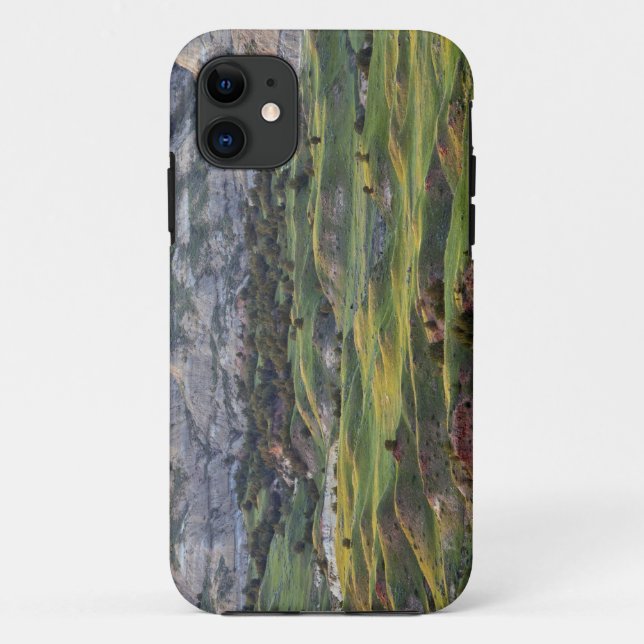 Colourful badlands from Buck Hill overlook in Case-Mate iPhone Case (Back)