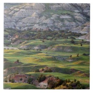 Colourful badlands from Buck Hill overlook in Tile
