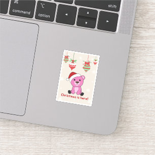 Colourful Bears Merry Christmas Winter Animals Bea