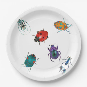Colourful beetles  paper plate