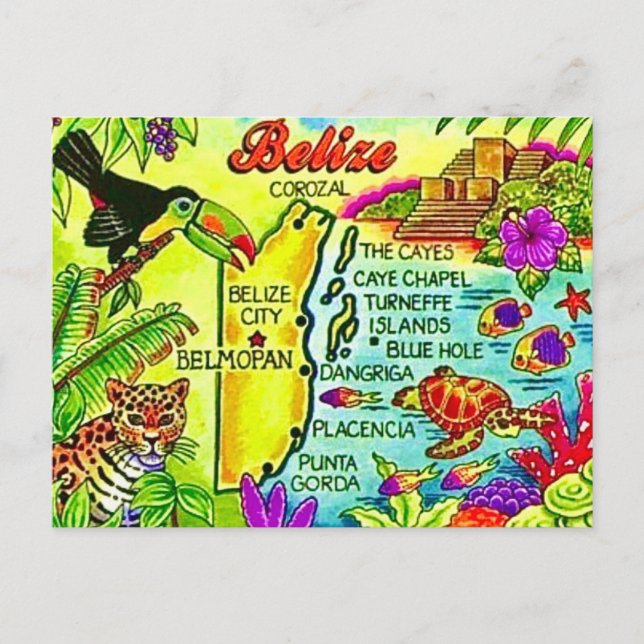 Colourful Belise Postcard (Front)