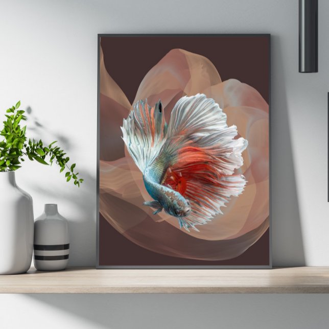 Colourful betta Poster (Creator Uploaded)