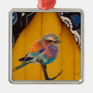 Colourful Bird by a Butterfly Wing Curtain Metal Tree Decoration