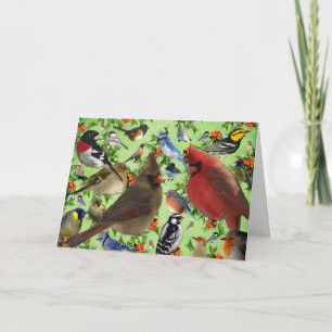 Colourful Bird Collage Holiday Card