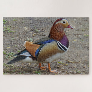 Colourful Bird Jigsaw Puzzle