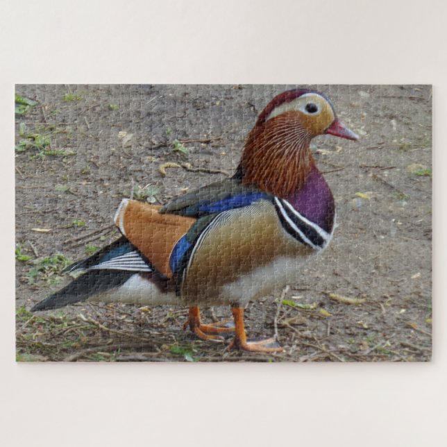 Colourful Bird Jigsaw Puzzle (Horizontal)