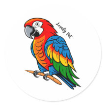 Colourful Bird Parrot