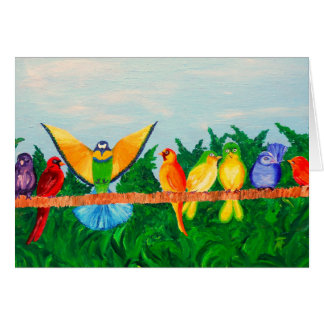 Colourful Birds