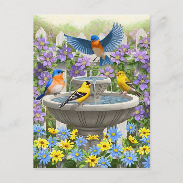 Colourful Birds and Bird Bath Flower Garden Postcard (Front)