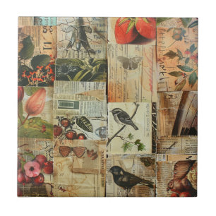 Colourful Birds Antique Newspaper Nature Collage Tile