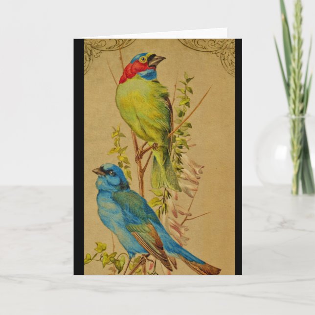 Colourful Birds Card (Front)