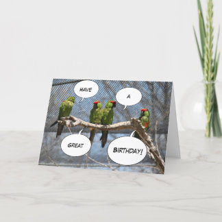 Colourful Birds Greeting Card