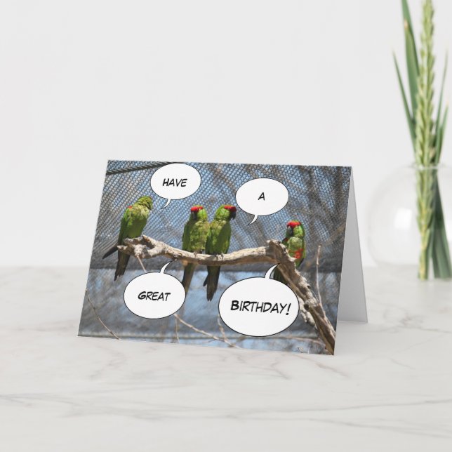 Colourful Birds Greeting Card (Front)