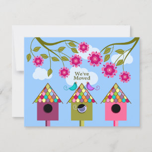 Colourful Birds Moving Announcement