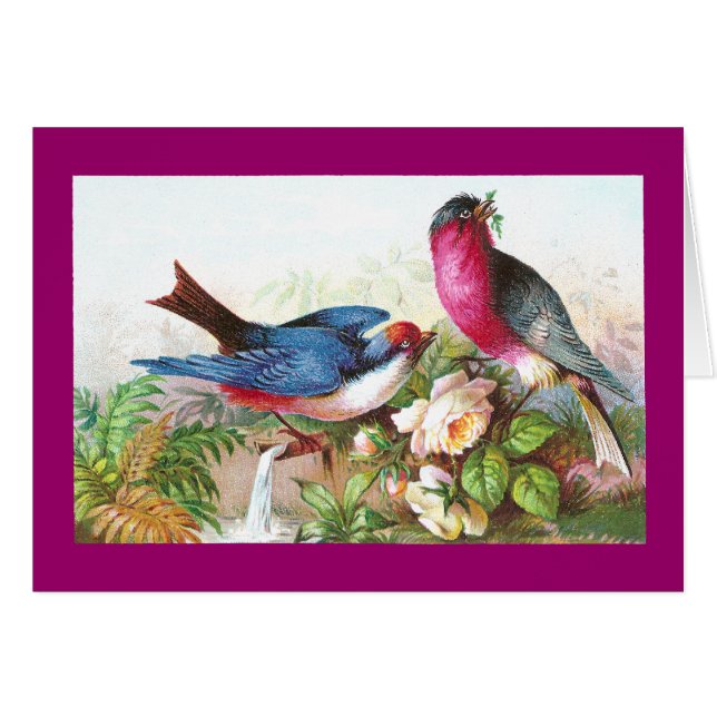 Colourful Birds, Roses & Waterspout (Front Horizontal)