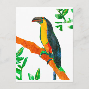 Colourful  Birds Toucan Postcard