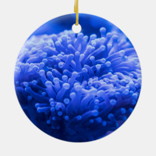 Colourful Blue Sea Anemone Marine Life Ceramic Tree Decoration