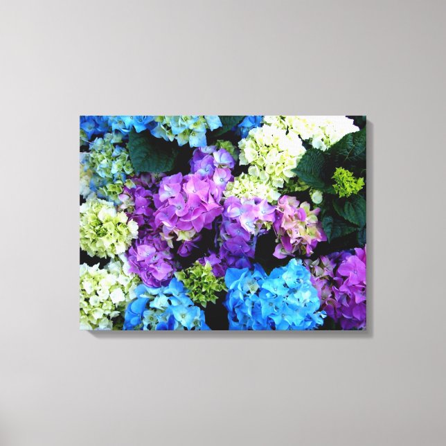 Colourful  Blue White Flowers  Canvas Canvas Print (Front)
